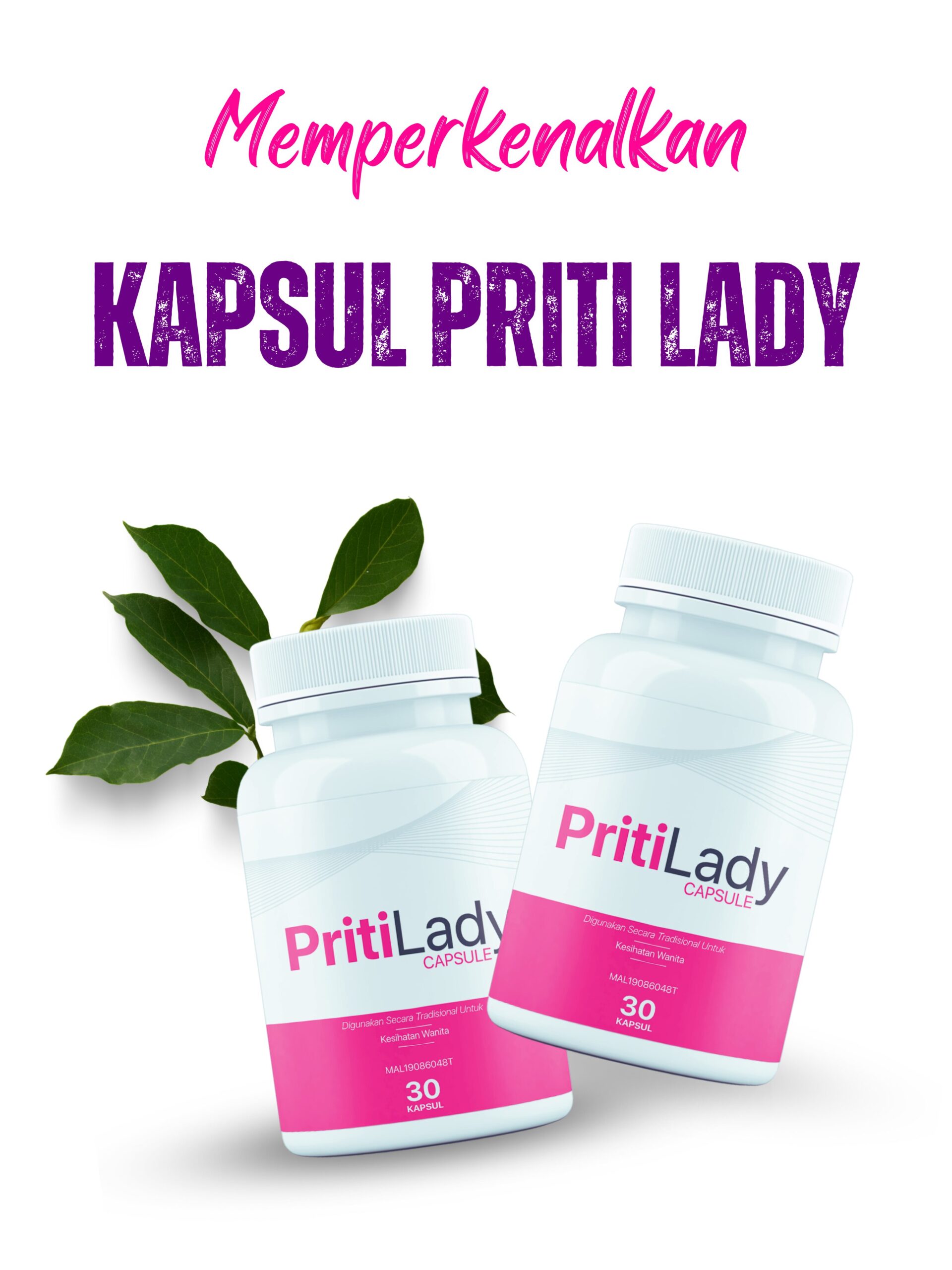 Kapsul Priti Lady